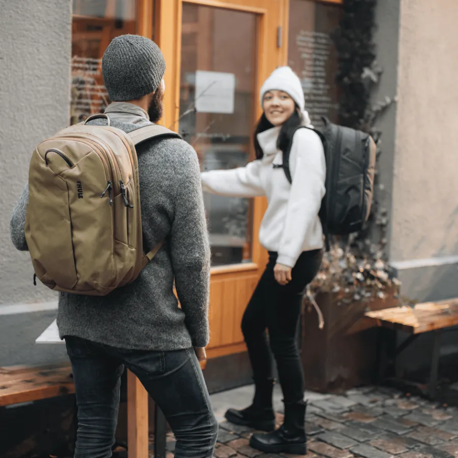 Thule Handbagage-Aion