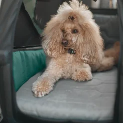 Thule Hondenaccessoires|Fietstrailers Voor Honden-Bexey dog bed L