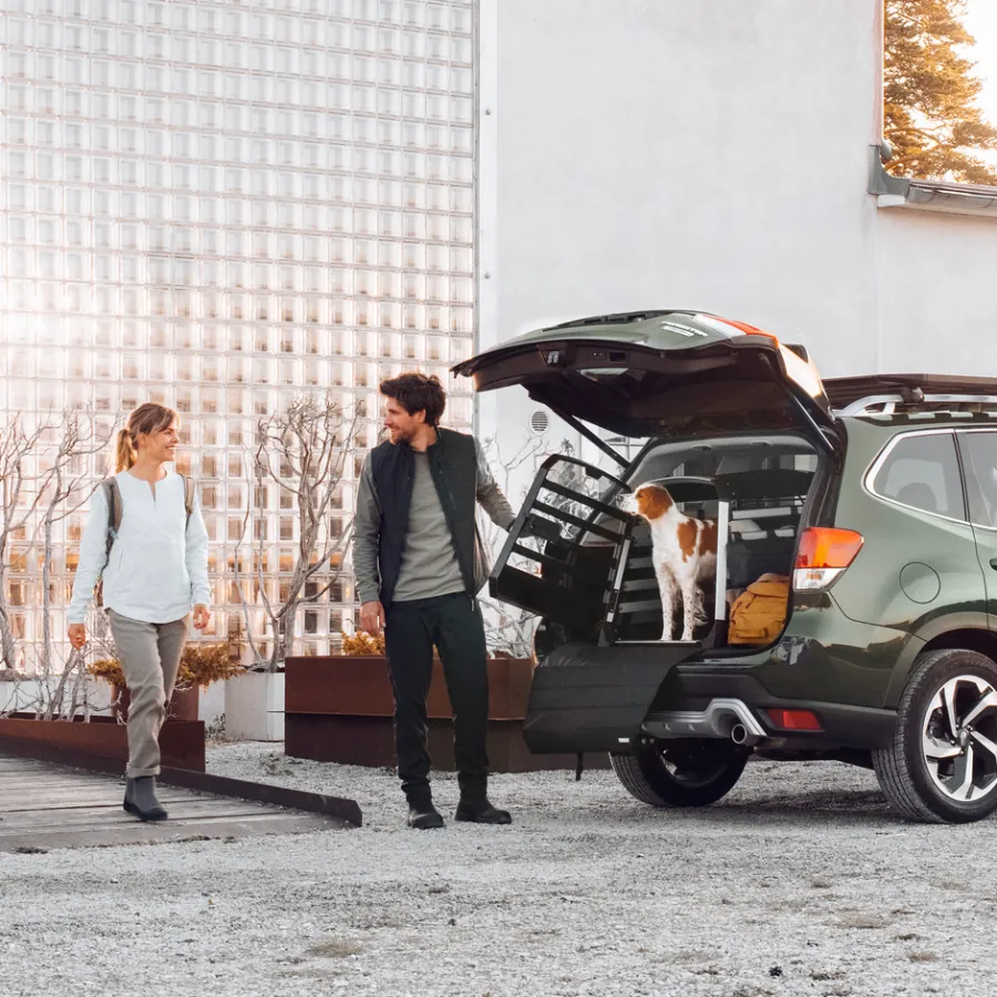 Thule Hondenaccessoires-bumper protect standard