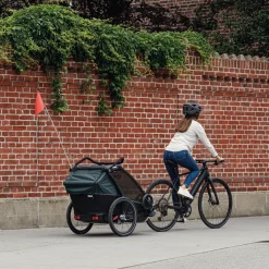 Kinderen Thule Fietstrailers Voor Kinderen|Fietstrailers Voor Kinderen-Chariot Cab