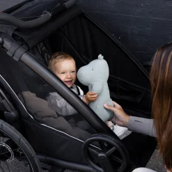Kinderen Thule Fietstrailerbundels|Fietstrailerbundels-Chariot Sport 2 double jogging Bundle