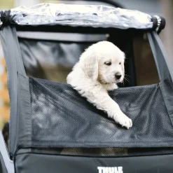 Kinderen Thule Fietstrailers Voor Honden|Fietstrailers Voor Honden-Courier dog trailer bundle