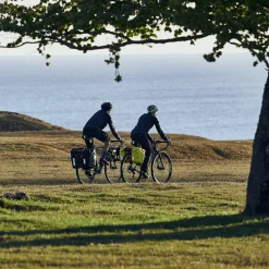 Thule Fietstassen En Bagagerekken|Fietstassen En Bagagerekken-Shield