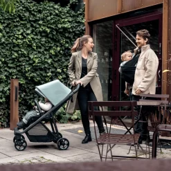 Kinderen Thule Compacte Kinderwagens-Shine