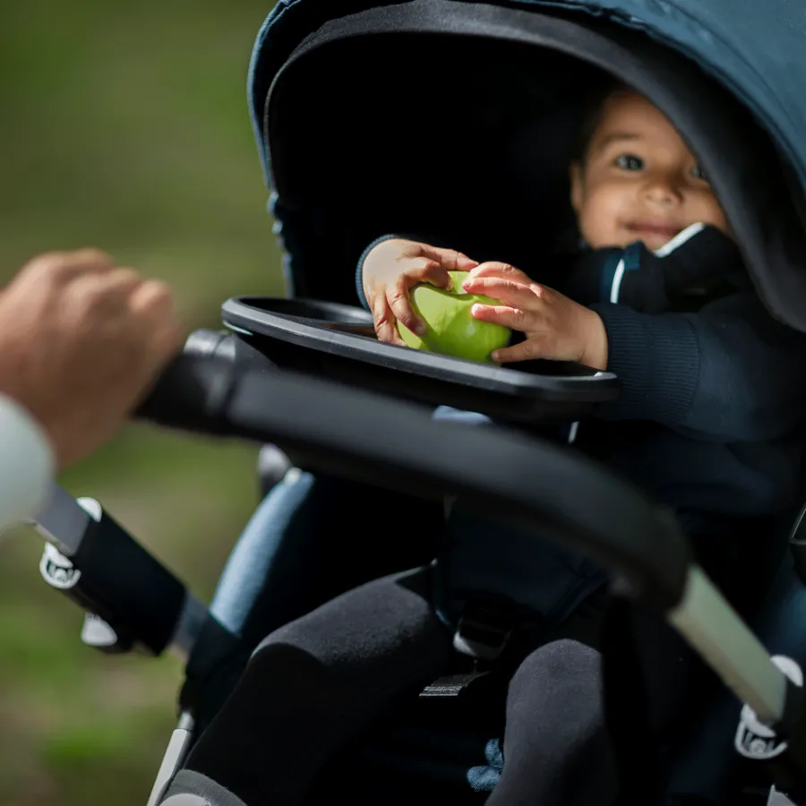 Kinderen Thule Dubbele Wandelwagens|Combi-kinderwagens-Sleek